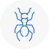 Ant Removals In Southbourne