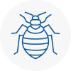 Bed Bug Extermination In Southbourne