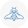 Bee Nest Removal Southbourne