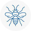 Southbourne Hornet Nest Removals
