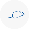 Mice Exterminators In Southbourne
