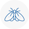 Moth Control Specialists In Southbourne