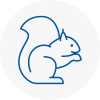 Southbourne Rodent Removals